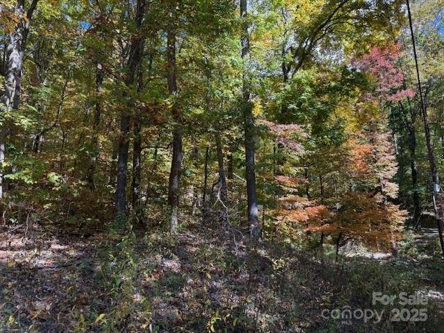 Property image 5 of 1530 Hickory Acres Road in Hickory Acres, Hendersonville, NC 28792