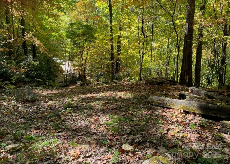 Property image 2 of Lot A38 Tawodi Trail in Smoky Mountain Retreat at Eagles Nest, Maggie Valley, NC 28751