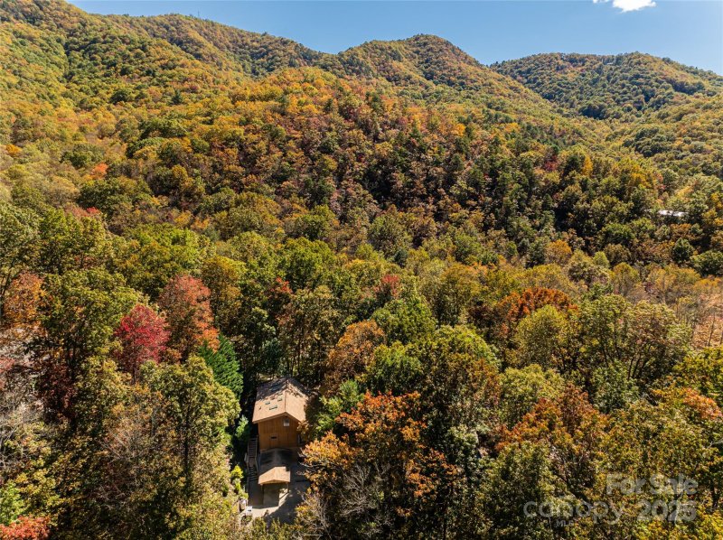Property image 2 of 15 Coneflower Court in Christmount, Black Mountain, NC 28711