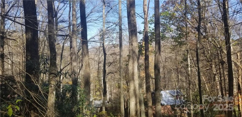 Property image 2 of Lot C31 Shady Lane in Spring Lake Estates, Maggie Valley, NC 28751