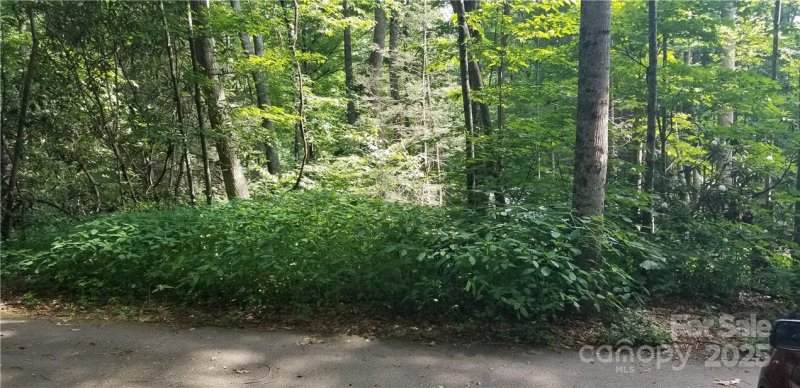 Property image 3 of Lot C31 Shady Lane in Spring Lake Estates, Maggie Valley, NC 28751