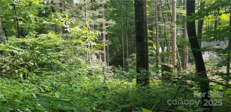 Property image 4 of Lot C31 Shady Lane in Spring Lake Estates, Maggie Valley, NC 28751