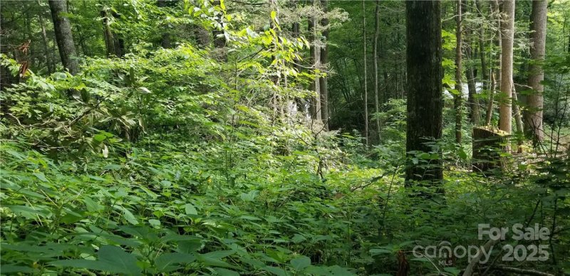 Property image 5 of Lot C31 Shady Lane in Spring Lake Estates, Maggie Valley, NC 28751