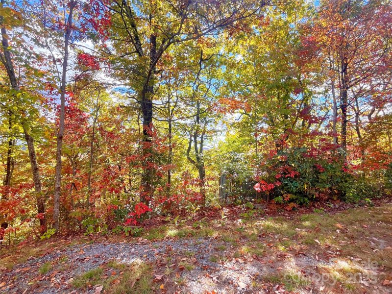 Property image 2 of 57 Grouse Ridge Drive in Miller Cove, Black Mountain, NC 28711
