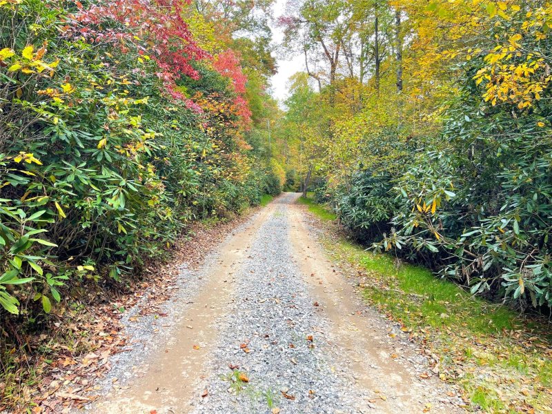 Property image 5 of 57 Grouse Ridge Drive in Miller Cove, Black Mountain, NC 28711