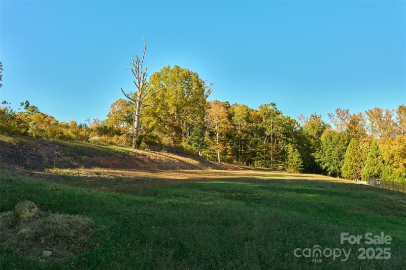 Property image 5 of 12 Capullo Court in Quintessa, Wesley Chapel, NC 28104