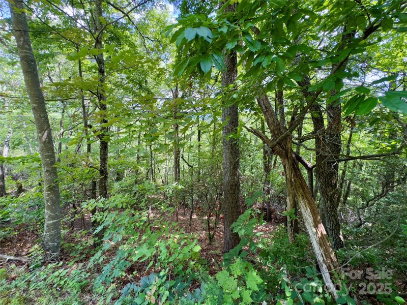 Property image 3 of 94 Galax Drive in Creston, Black Mountain, NC 28711
