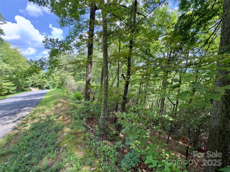 Property image 4 of 94 Galax Drive in Creston, Black Mountain, NC 28711
