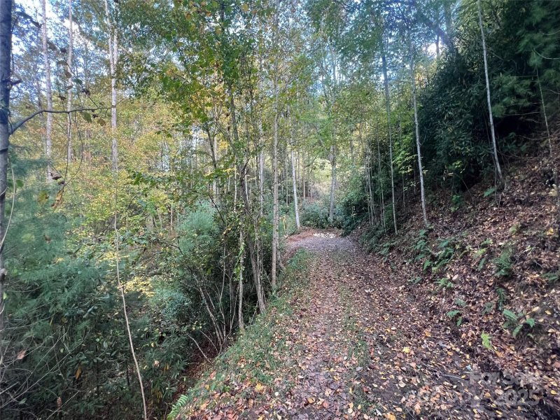 6 Dividing Ridge Trail