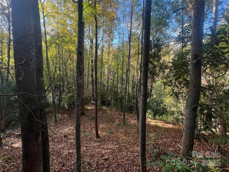 Property image 2 of 6 Dividing Ridge Trail in The Cliffs at Walnut Cove, Arden, NC 28704