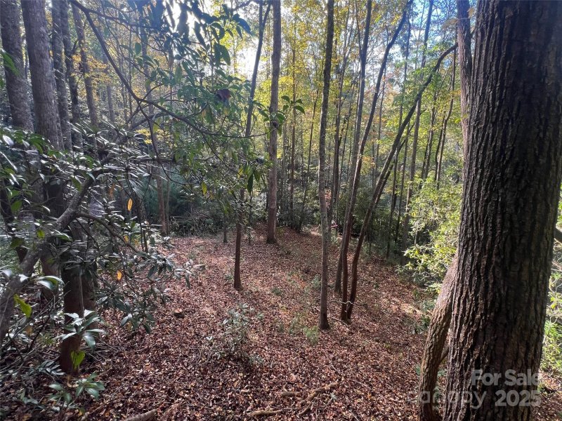 Property image 3 of 6 Dividing Ridge Trail in The Cliffs at Walnut Cove, Arden, NC 28704