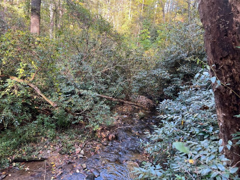 Property image 5 of 6 Dividing Ridge Trail in The Cliffs at Walnut Cove, Arden, NC 28704