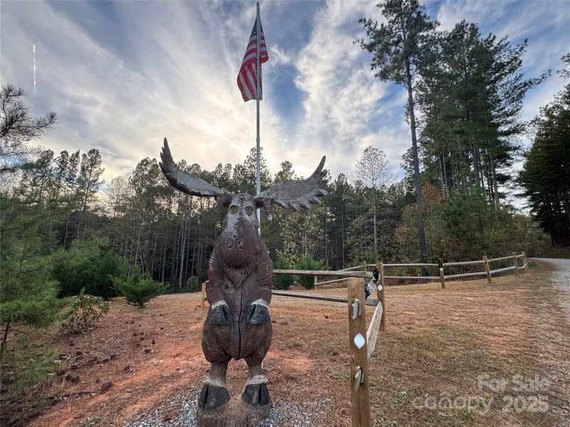 The Vineyards, Lake Lure Community
