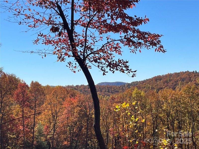 312 Hollybrook Drive