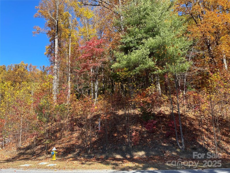 Property image 3 of 312 Hollybrook Drive in Kenmure, Flat Rock, NC 28731