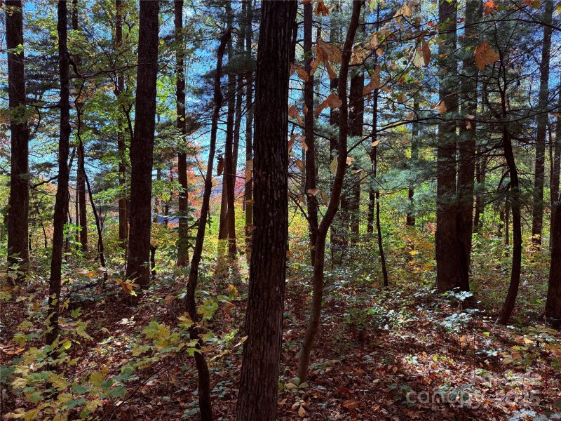 Property image 5 of 312 Hollybrook Drive in Kenmure, Flat Rock, NC 28731