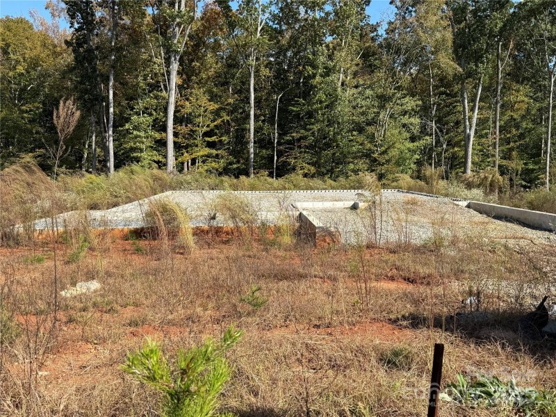 3207 Timber Run Lane