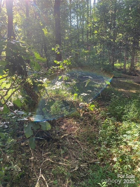 Property image 3 of 442 E Settings Boulevard in Lake Rhodhiss Estates, Morganton, NC 28655