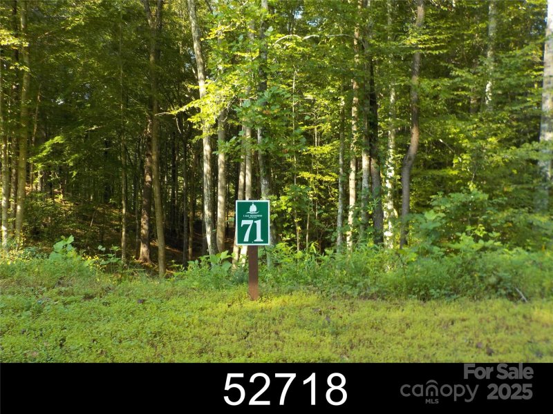 Property image 2 of 110 Glass Water Point in Lake Rhodhiss Estates, Morganton, NC 28655