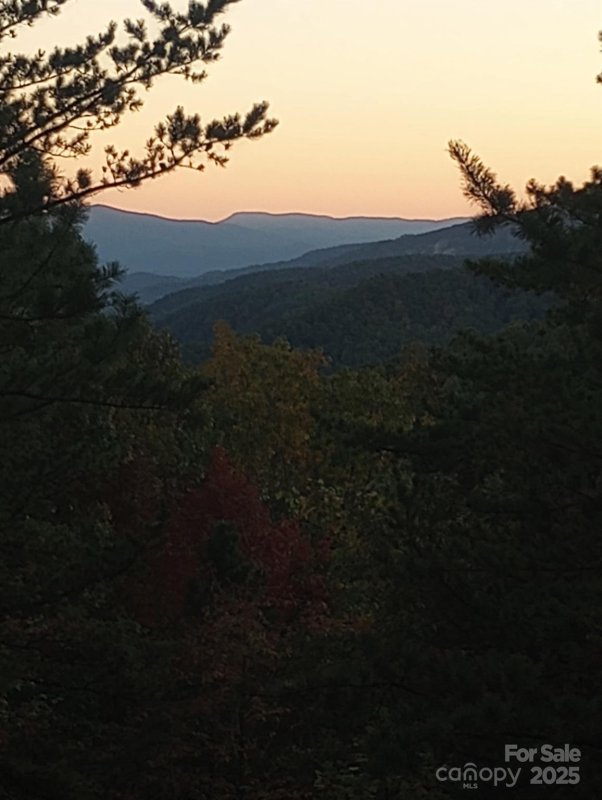 9999 Sassafras Drive