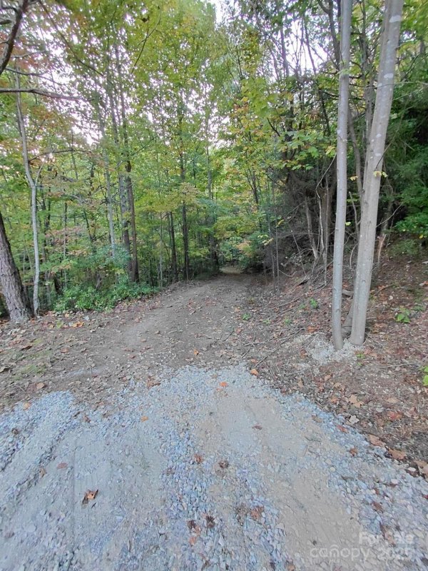 Property image 3 of 9999 Sassafras Drive in Gateway Mountain, Old Fort, NC 28762