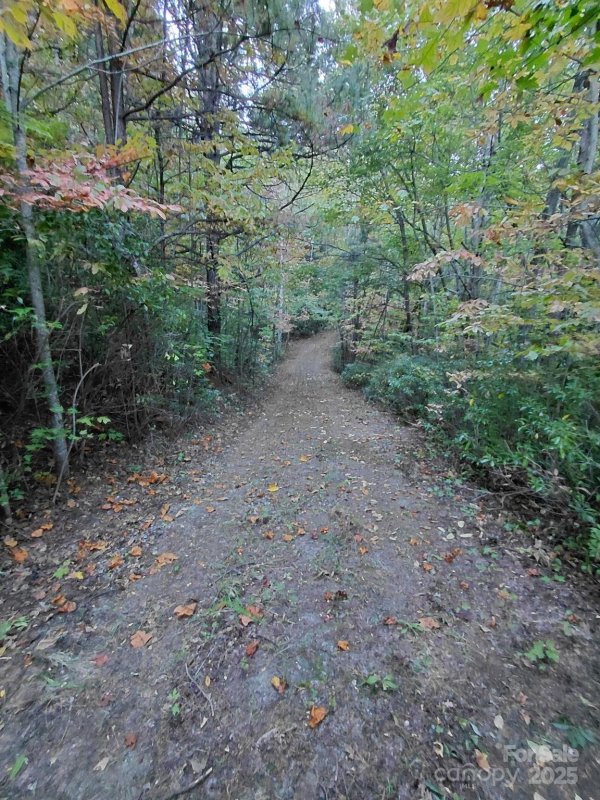 Property image 4 of 9999 Sassafras Drive in Gateway Mountain, Old Fort, NC 28762