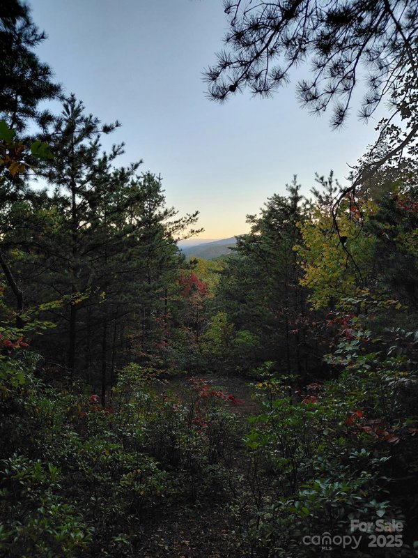 Property image 5 of 9999 Sassafras Drive in Gateway Mountain, Old Fort, NC 28762