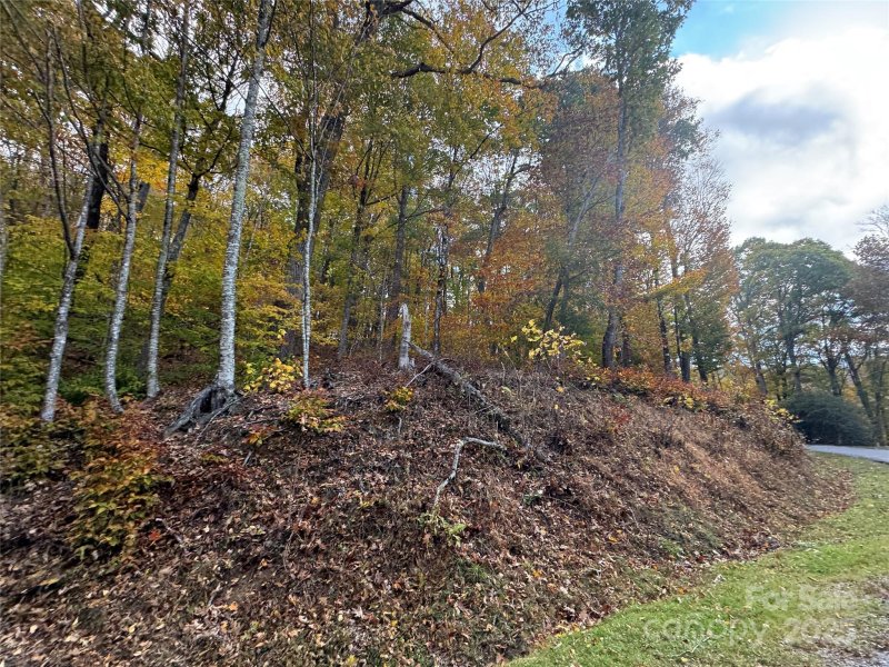 Property image 2 of 678 679 El Miner Drive in Wolf Laurel, Mars Hill, NC 28754