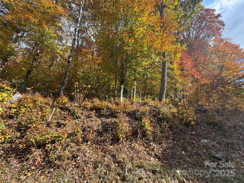 Property image 3 of 678 679 El Miner Drive in Wolf Laurel, Mars Hill, NC 28754