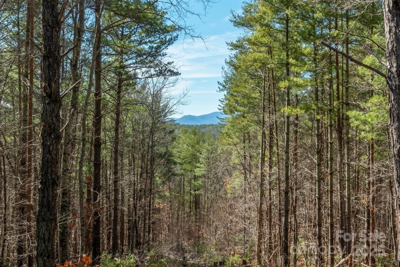 Property image 2 at 1683 Pisgah Preserve Drive, Nebo, NC 28761