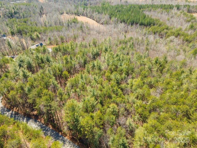 Property image 3 at 1683 Pisgah Preserve Drive, Nebo, NC 28761