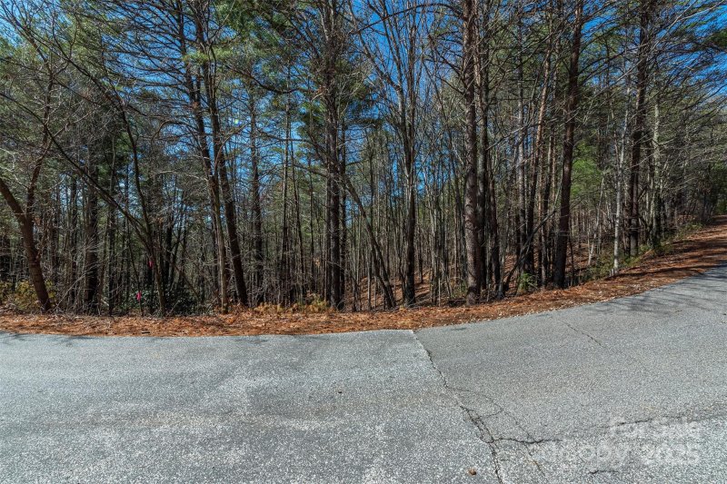 Property image 5 at 1683 Pisgah Preserve Drive, Nebo, NC 28761