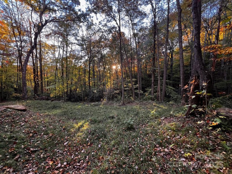 Property image 4 of 00 Rocky Face Drive in Springdale Estates, Canton, NC 28716