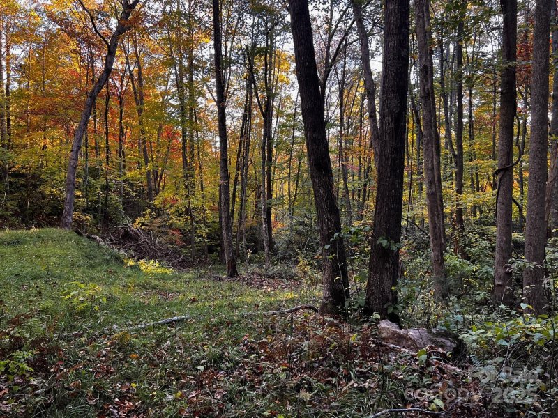 Property image 5 of 00 Rocky Face Drive in Springdale Estates, Canton, NC 28716