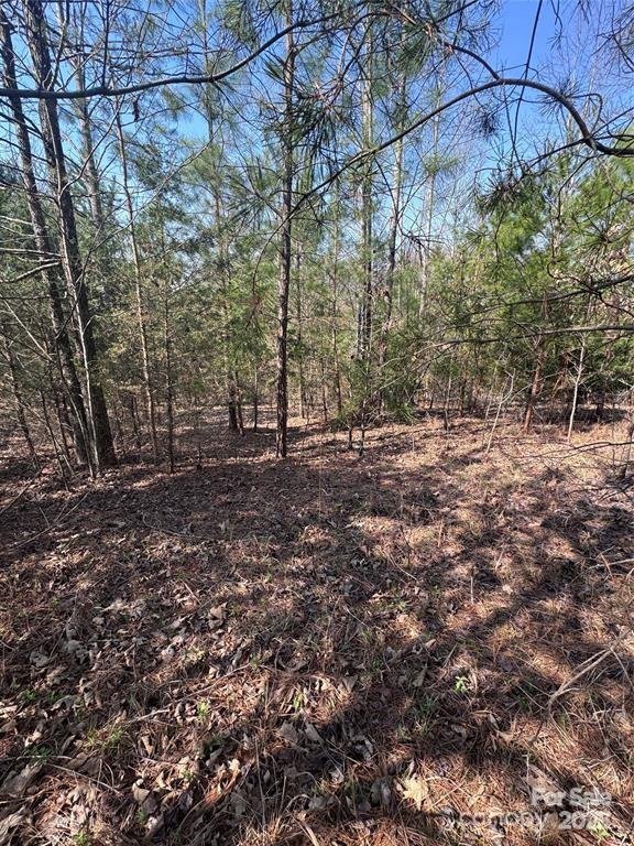 Property image 3 of 0 Cross Creek Drive in Clearwater Creek, Rutherfordton, NC 28139