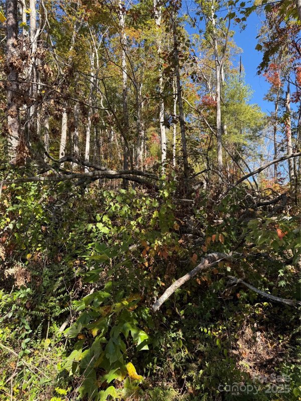 Property image 3 of 202 Lyndhurst Drive in Greater Druid Hills, Hendersonville, NC 28791