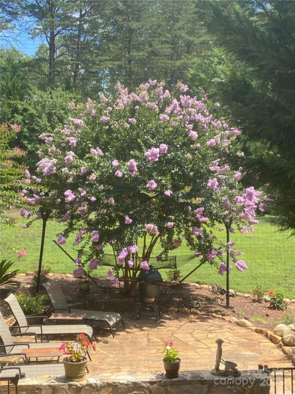 Property image 3 of 1308 Moonshadow Lane in Grey Fox Forest, Shelby, NC 28150