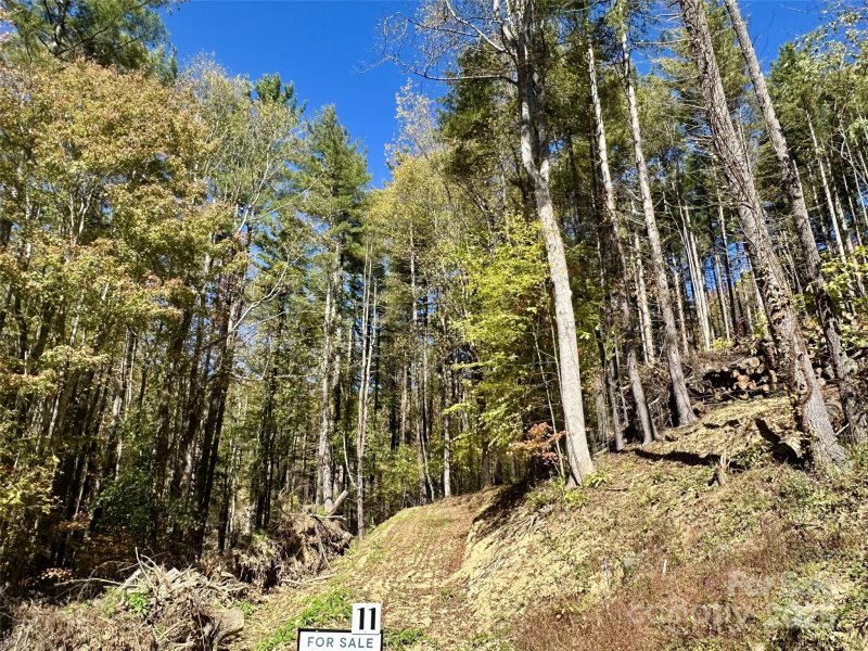 Property image 2 of 11 Freshwater Cove in Masters Landing, Maggie Valley, NC 28751