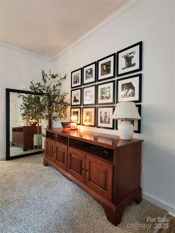 Property image 3 of 118 Valley Springs Drive in Holly Ridge, Olin, NC 28660