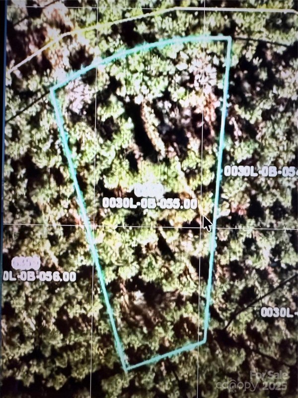 6339 Chimney Bluff Road