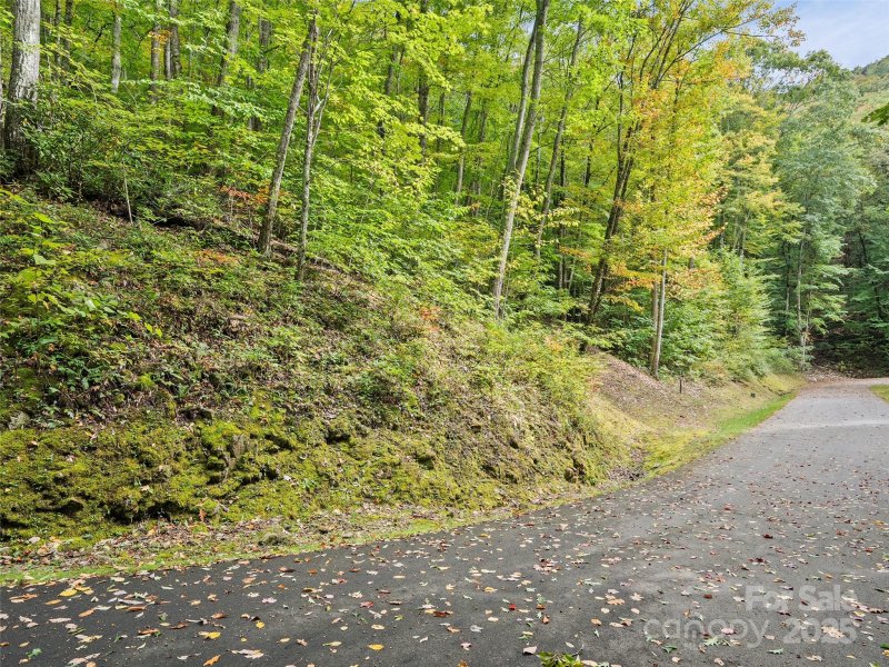 Property image 2 of Lot 23 Finlaystone Trace in Highland Forest, Waynesville, NC 28786