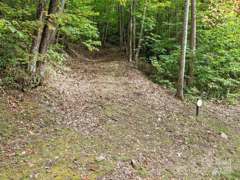 Property image 3 of Lot 23 Finlaystone Trace in Highland Forest, Waynesville, NC 28786