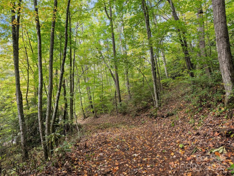 Property image 4 of Lot 23 Finlaystone Trace in Highland Forest, Waynesville, NC 28786