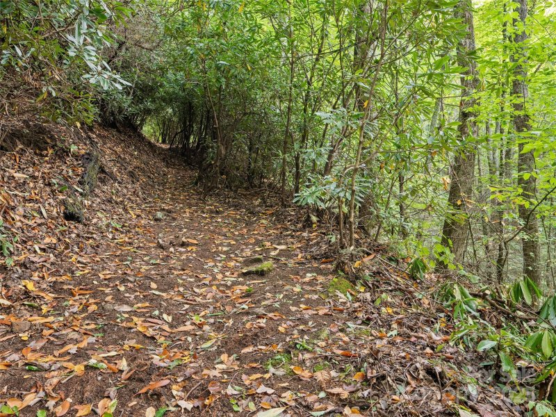 Property image 5 of Lot 23 Finlaystone Trace in Highland Forest, Waynesville, NC 28786