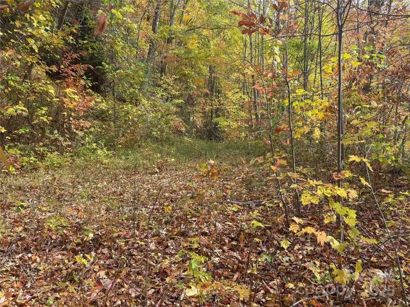 Property image 4 of 899 Hyacinth Drive in Panther Creek Estates, Clyde, NC 28721