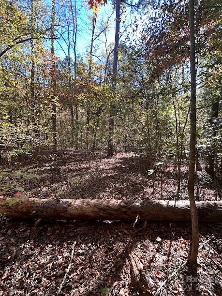Property image 4 of Tbd Cross Creek Drive in Clearwater Creek, Rutherfordton, NC 28139