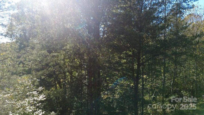 Property image 5 of Tbd Cross Creek Drive in Clearwater Creek, Rutherfordton, NC 28139