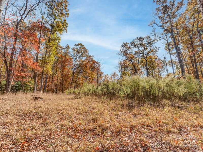 Property image 4 at 135 Paisley Lane, Pisgah Forest, NC 28768