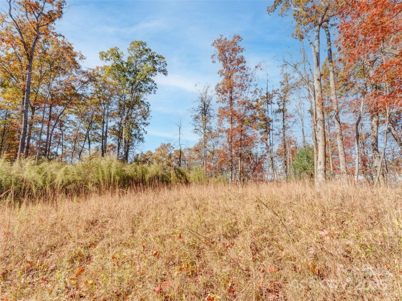 Property image 5 at 135 Paisley Lane, Pisgah Forest, NC 28768