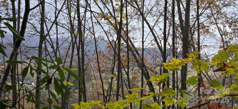 Property image 5 of 62 Turkey Hollow Court in The Glens Of Ironduff, Waynesville, NC 28785